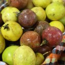 passionfruit-thailand