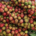 rambutan-type