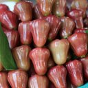 rose-apple-fruit