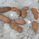 tamarind-fruit