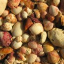 Up close on a sandy beach along the Persian Gulf
