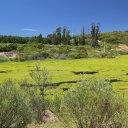 uruaguay-south-america-14