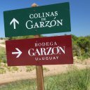 uruaguay-south-america-16