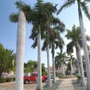 1_St-Croix-USVI-2