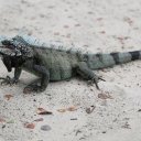 usvi-st-thomas-18