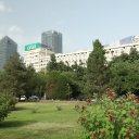 Tashkent-Uzbekistan-11