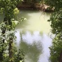 Tashkent-Uzbekistan-2