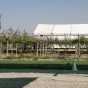 Uzbekistan-Tashkent-Winery-Mountains-14