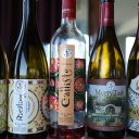 Uzbekistan-Tashkent-Winery-Mountains-20