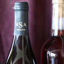 Uzbekistan-Tashkent-Winery-Mountains-21