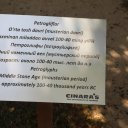 Uzbekistan-Tashkent-Winery-Mountains-9