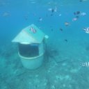 hideaway-island-vanuatu-6