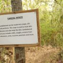 vanuatu-efate-island-beaches-11