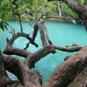 vanuatu-efate-island-beaches-8