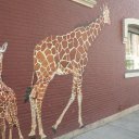 Rutland-Woodstock-Vermont-34