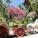 Phu-Quoc-Island-8