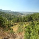 dalat-vietnam-2_0