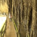 dalat-vietnam-temples-waterfall-crazy-house-14