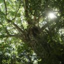 dalat-vietnam-temples-waterfall-crazy-house-17