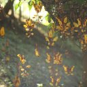 dalat-vietnam-temples-waterfall-crazy-house-19