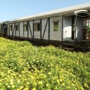 dalat-vietnam-temples-waterfall-crazy-house-29