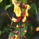 dalat-vietnam-temples-waterfall-crazy-house-31