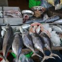 dalat-vietnam-temples-waterfall-crazy-house-49