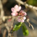dalat-vietnam-temples-waterfall-crazy-house-52