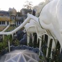 dalat-vietnam-temples-waterfall-crazy-house-56