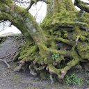 cardiff-wales-brecon-beacon-13