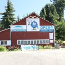 Blueberries-U-Pick-Washington