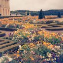 Jardin de Versailles