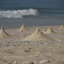 Cone shaped mounds form when sand is thrown up by crabs burrowing into the beach sand