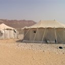 Bedouin Tents