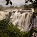 The Great Victoria Falls