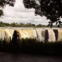 Victoria Falls, looking through the trees