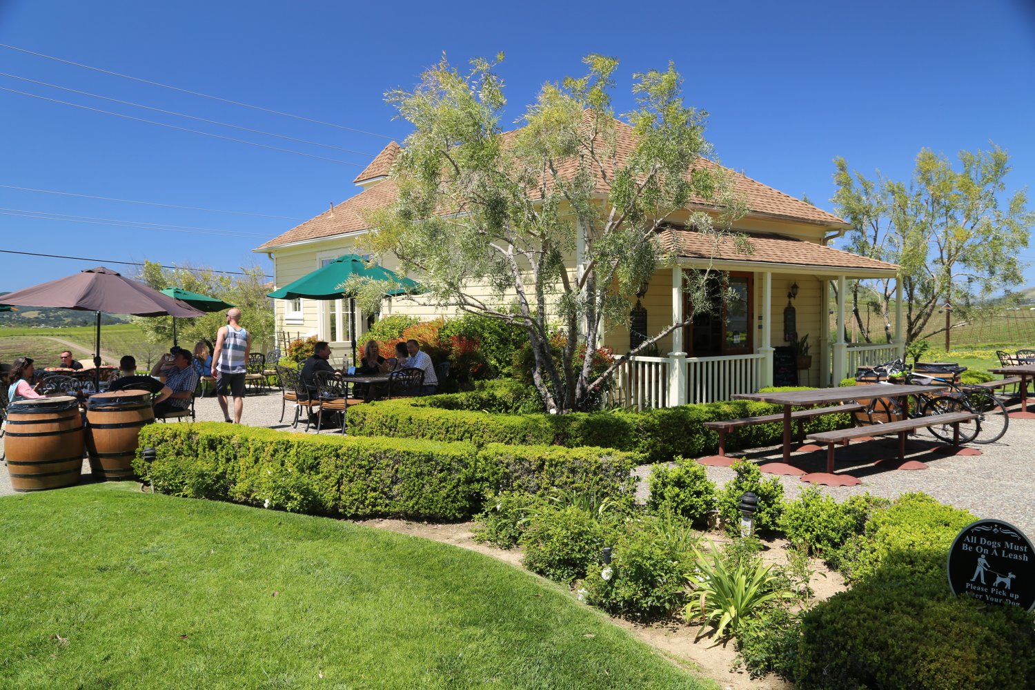 Baileyana winery best sale