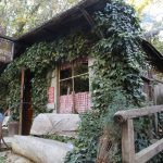 cold-spring-tavern-santa-barbara-2