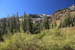 Alpine-Meadows (1)