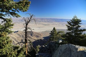 palm-springs-tramway-san-jacinto-15