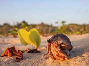 Lamu-Kenya (2)