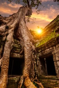 Ta Prohm