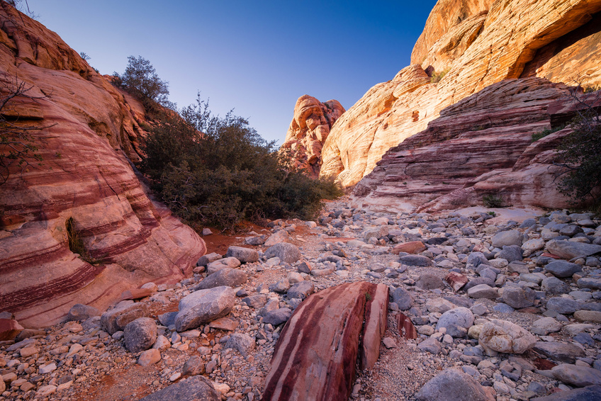 Red Rock Canyon  Las Vegas, Nevada