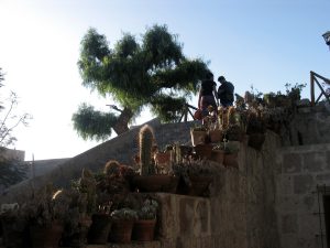 El-Molino-Viejo-Arequipa