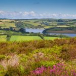 devon ireland england