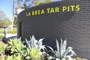 La-Brea-Tarpits