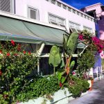 ivy-at-the-shore-santa-monica (1)