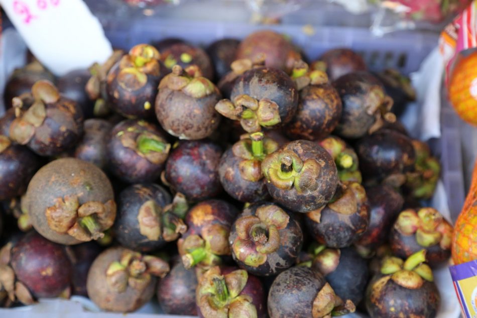 mangosteens