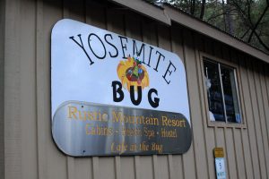 Yosemite-Bug