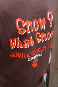 jamaica-snow